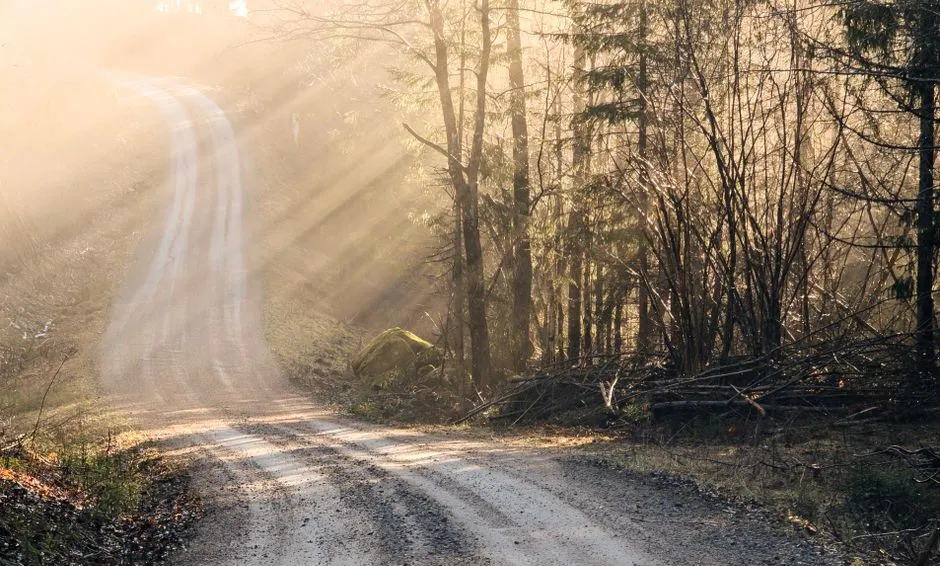 Caminho iluminado pela luz, representando o direito previdenciário conquistado